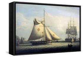 Maltese Cutter-Robert Salmon-Framed Stretched Canvas