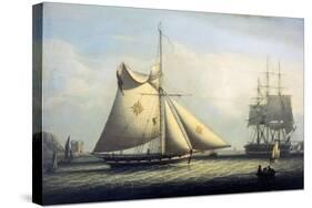Maltese Cutter-Robert Salmon-Stretched Canvas