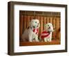 Maltese Dogs Wearing the American Flag-Karen M^ Romanko-Framed Photographic Print