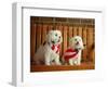 Maltese Dogs Wearing the American Flag-Karen M^ Romanko-Framed Photographic Print