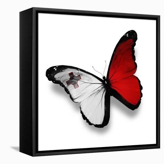 Maltese Flag Butterfly, Isolated On White-suns_luck-Framed Stretched Canvas