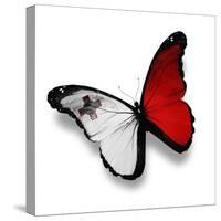 Maltese Flag Butterfly, Isolated On White-suns_luck-Stretched Canvas