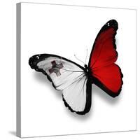 Maltese Flag Butterfly, Isolated On White-suns_luck-Stretched Canvas