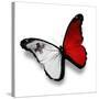 Maltese Flag Butterfly, Isolated On White-suns_luck-Stretched Canvas