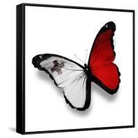 Maltese Flag Butterfly, Isolated On White-suns_luck-Framed Stretched Canvas