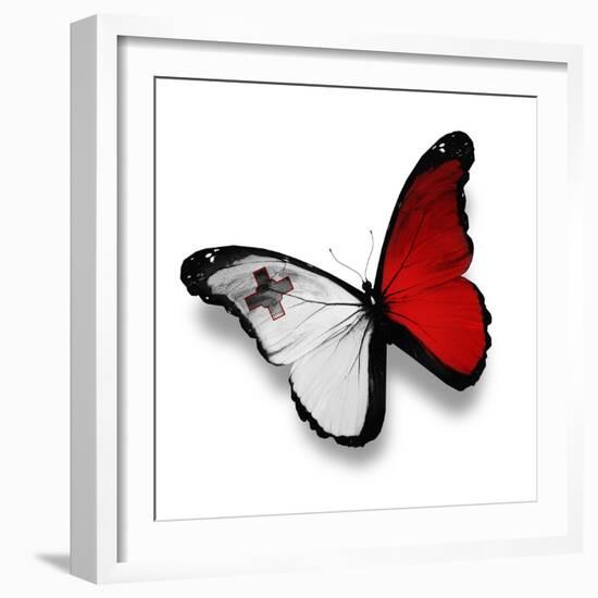 Maltese Flag Butterfly, Isolated On White-suns_luck-Framed Premium Giclee Print