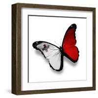 Maltese Flag Butterfly, Isolated On White-suns_luck-Framed Art Print