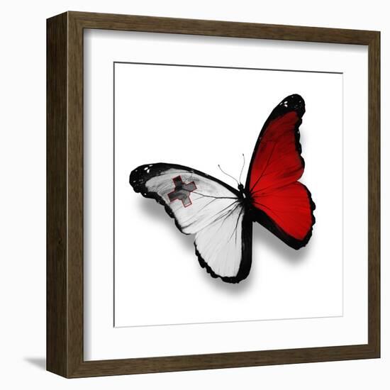 Maltese Flag Butterfly, Isolated On White-suns_luck-Framed Art Print