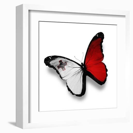 Maltese Flag Butterfly, Isolated On White-suns_luck-Framed Art Print