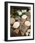 Maltese Goat Cheese, Malta, Europe-Tondini Nico-Framed Photographic Print