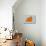 Maltese Orange-NaxArt-Stretched Canvas displayed on a wall