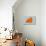 Maltese Orange-NaxArt-Art Print displayed on a wall