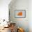 Maltese Orange-NaxArt-Framed Art Print displayed on a wall