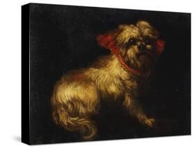 Maltese Terrier with a Red Collar-School of Madrid-Stretched Canvas