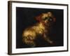 Maltese Terrier with a Red Collar-School of Madrid-Framed Giclee Print