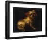 Maltese Terrier with a Red Collar-School of Madrid-Framed Giclee Print