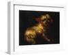 Maltese Terrier with a Red Collar-School of Madrid-Framed Giclee Print