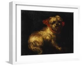 Maltese Terrier with a Red Collar-School of Madrid-Framed Giclee Print