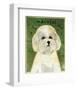 Maltese-John W^ Golden-Framed Art Print