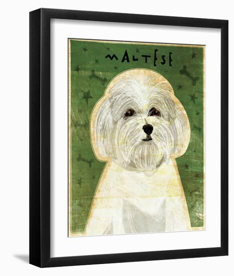 Maltese-John W^ Golden-Framed Giclee Print