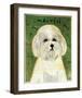 Maltese-John W^ Golden-Framed Giclee Print