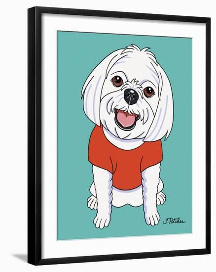 Maltese-Tomoyo Pitcher-Framed Giclee Print