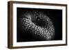 malum-Peter Pfeiffer-Framed Photographic Print