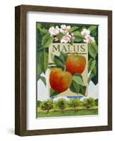 Malus (Apple), 2014-Jennifer Abbott-Framed Giclee Print