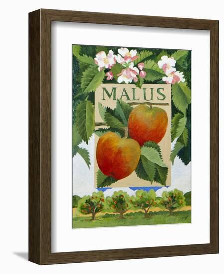 Malus (Apple), 2014-Jennifer Abbott-Framed Giclee Print