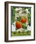 Malus (Apple), 2014-Jennifer Abbott-Framed Giclee Print