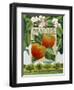 Malus (Apple), 2014-Jennifer Abbott-Framed Giclee Print