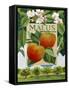 Malus (Apple), 2014-Jennifer Abbott-Framed Stretched Canvas