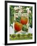 Malus (Apple), 2014-Jennifer Abbott-Framed Giclee Print