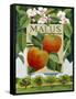 Malus (Apple), 2014-Jennifer Abbott-Framed Stretched Canvas