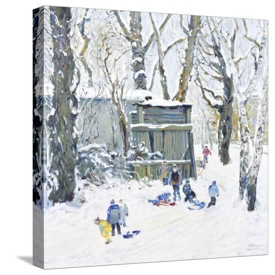 Stretched Canvas Print, , large