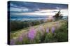 Malvern Hills at Sunset, Worcestershire, England, United Kingdom, Europe-Matthew-Stretched Canvas