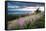 Malvern Hills at Sunset, Worcestershire, England, United Kingdom, Europe-Matthew-Framed Stretched Canvas