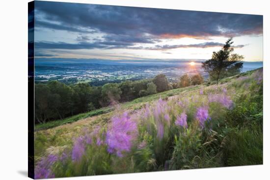Malvern Hills at Sunset, Worcestershire, England, United Kingdom, Europe-Matthew-Stretched Canvas