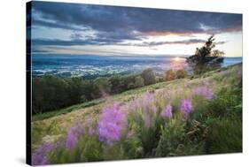 Malvern Hills at Sunset, Worcestershire, England, United Kingdom, Europe-Matthew-Stretched Canvas