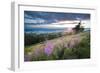 Malvern Hills at Sunset, Worcestershire, England, United Kingdom, Europe-Matthew-Framed Photographic Print