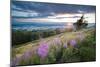 Malvern Hills at Sunset, Worcestershire, England, United Kingdom, Europe-Matthew-Mounted Photographic Print