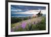 Malvern Hills at Sunset, Worcestershire, England, United Kingdom, Europe-Matthew-Framed Photographic Print