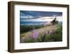 Malvern Hills at Sunset, Worcestershire, England, United Kingdom, Europe-Matthew-Framed Photographic Print