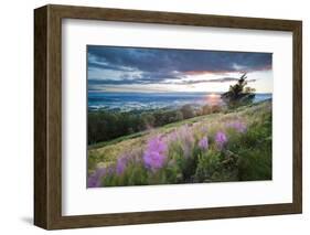 Malvern Hills at Sunset, Worcestershire, England, United Kingdom, Europe-Matthew-Framed Photographic Print