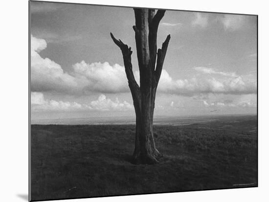 Malvern Hills, Where Robert Frost Once Lived-Howard Sochurek-Mounted Photographic Print