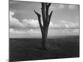 Malvern Hills, Where Robert Frost Once Lived-Howard Sochurek-Mounted Photographic Print