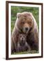 Mama Bear (Brown Bear and Cub)-Art Wolfe-Framed Giclee Print