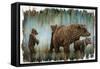 Mama Bear's Protection-Angela Bawden-Framed Stretched Canvas