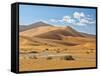 "Mama Dune" at Sossusvlei, Namibia-Frances Gallogly-Framed Stretched Canvas