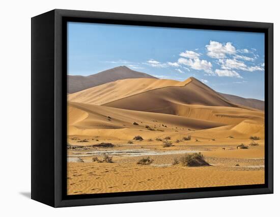 "Mama Dune" at Sossusvlei, Namibia-Frances Gallogly-Framed Stretched Canvas